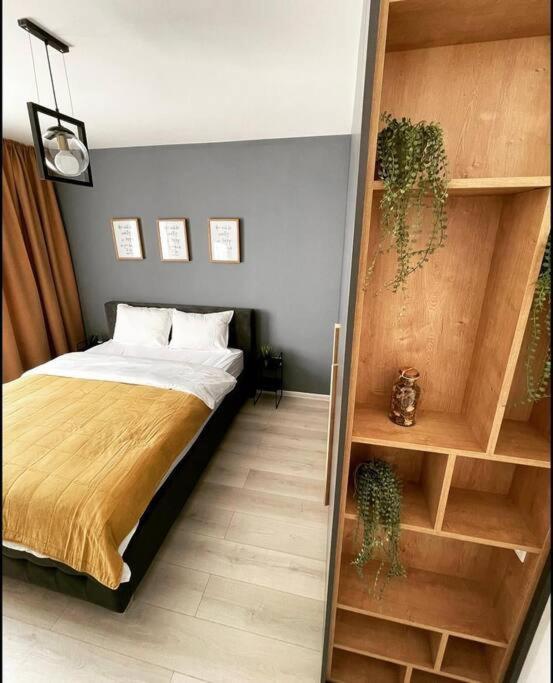 Minimalist Studio Apartment Braszów Zewnętrze zdjęcie